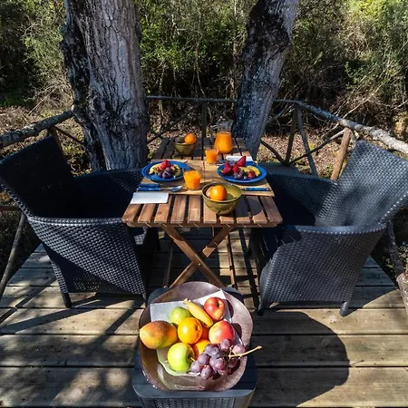 River House Chalet Sintra